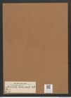 Navicula rabenhorstii Ralfs. (de-Toni-Nr.: Genus 1, Species 186) Zeichnungen Sammlung Grunow Mappe 00151 (Herbarium_W_Grunow_drawings_Folder_00151)